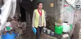 Adana Göğsünde Kitle Çıkan Olga, Yardım Bekliyor