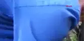 Artvin Kurtardığı Tel Örgüye Sıkışan Tilkiyi, Öperek Serbest Bıraktı