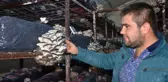 Yılda Tam 16 Ton Mantar Üretiyor! 'Genç Çiftçi' Projesiyle Hayatı Değişti