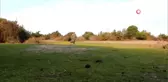 Kuş ve Doğa Fotoğrafçılarının 'Kuş Cenneti' Talebi