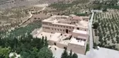 Tarihi Manastır Bahçesinde Zeytin Hasadı
