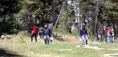 Ormandan Toplayıp Kuruttukları Kuzugöbeği Mantarının Kilosunu Bin Liraya Satıyorlar