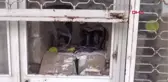 Aksaray İş Yerinden Baharat ve Kadayıf Çalındı