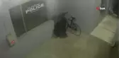 Acemi Hırsız Polis Karakolu Önündeki Bisikleti Çalmaya Çalıştı