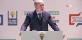 Cumhurbaşkanı Erdoğan: 