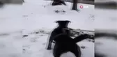 Kardan Köpeği Gerçek Sanınca...