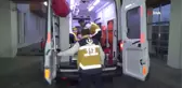 14 Yaşındaki Kız Çocuğu, Kedisi İçin Canından Oluyordu