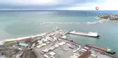 Karadeniz'deki Üç Tür Yunusun Nesli Tükenme Tehlikesi Yaşıyor