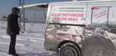 Van'da Yaban ve Sokak Hayvanları Unutulmadı