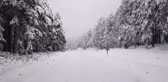 Balıkesir'de Kar Yağışı