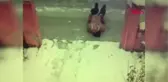 Isparta Buz Tutan Yolda Düştü, Beyin Kanaması Geçirdi
