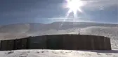 Anadolu Yaban Koyunlarına Yem Desteği