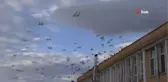 Belediye Soğukta Aç Kalan Kuşları Unutmadı