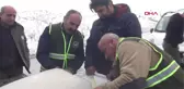 Şırnak'ta Yaban Hayvanları İçin Doğaya Yem Bırakıldı