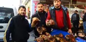 Gribin Düşmanı Kelle Paçanın Fiyatı Cep Yakıyor