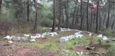 Muğla Sakin Kentte Ayılar Arı Kovanlarını Parçaladı, 1 Arıcıya Saldırdı