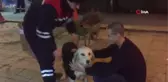Zonguldak - Özel)temizlik İşçisi Soğuktan Donmasın Diye Çöpten Bulduğu Kazağı Köpeğe Giydirdi