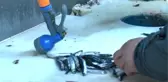 Ankaralı Balıkçılardan Hamsi Temizleme Rekoru! 1 Kilo Hamsiyi 92 Saniyede Temizledi