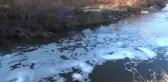 Dereye Hayvansal ve Kimyasal Atık Döküldüğü İddiası