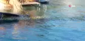 Mersin'de Şiddetli Fırtınadan Tekne Battı