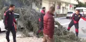 50 Metrelik Ağaç Çocuk Parkının Üzerine Devrildi