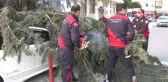 Adana 30 Metrelik Ağaç, Çocuk Parkının Üzerine Devrildi