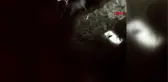 Zonguldak Mahsur Kalan Keçileri İtfaiye Kurtardı