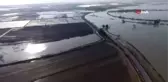 Çukurova'da Kayıkla Mandalina Hasadı