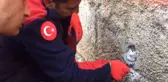 Duvardaki Oyuğa Sıkışan Kedi Böyle Kurtarıldı