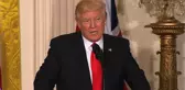 Trump'ın Akıl Hocası Roger Stone Gözaltına Alındı