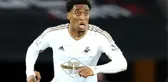 Fenerbahçe, Swansea City Forması Giyen Leroy Fer'i İstiyor