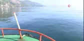 Karadeniz'de Mezgit Bolluğu