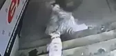 İstanbul'da Fıkra Gibi Olay