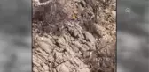 Elazığ'da Av Sırasında Kazara Kendini Vurduğu İddiası