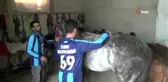 Bayburt'ta Ata Sporuna Yoğun İlgi