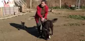 Doğuştan İki Gözü Olmayan Köpeğe Bebeği Gibi Bakıyor