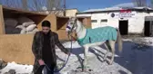 Erzurum Yarış Atına Doğum Günü Partisi