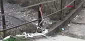Rize Restorasyondaki Tarihi Köprüye 'Tehlikeli' Ziyaret