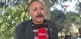 Muğla Aşıklar Yolunun Okaliptüs Ağaçları Yazı Tahtasına Döndü