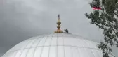 Bayburt 'Vefalı' Leylek, Bu Yıl da Göç Etmedi