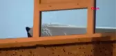 Ankara'da İki Aile Arasında Silahlı Kavga: 1 Yaralı, 12 Gözaltı