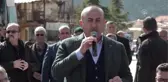 Çavuşoğlu: 