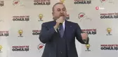 Çavuşoğlu: 