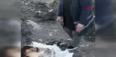 Konya Köpeği Yakıp, Çuvala Koymuşlar