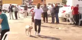 Evcil Hayvanların Psikolojisi Bozuk