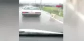 İzmir Köpeğini Otomobile Bağlayıp Kilometrelerce Koşturan Sürücü Hakkında İşlem Yapıldı