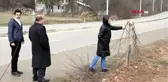 Bolu Mengen'de Ağaçlar İkinci Defa Kesildi