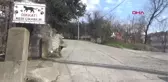 Zonguldak Kedileri İçin Yola Tabela Astı