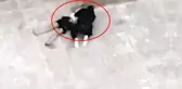 Dördüncü Kattan Atlayan Kız Arkadaşına 