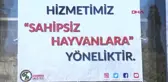 İstanbul Mehmet Umur: İstanbul'daki En Güzel Barınak Bakırköy'de Olacak
